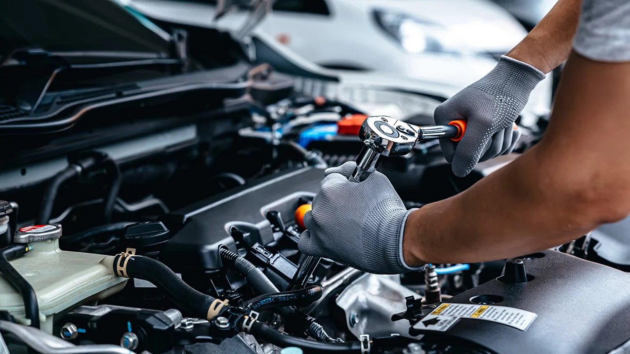 image-service-detail